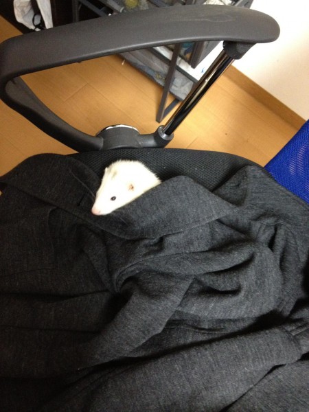 Evernote Camera Roll 20140115 154611 (1)