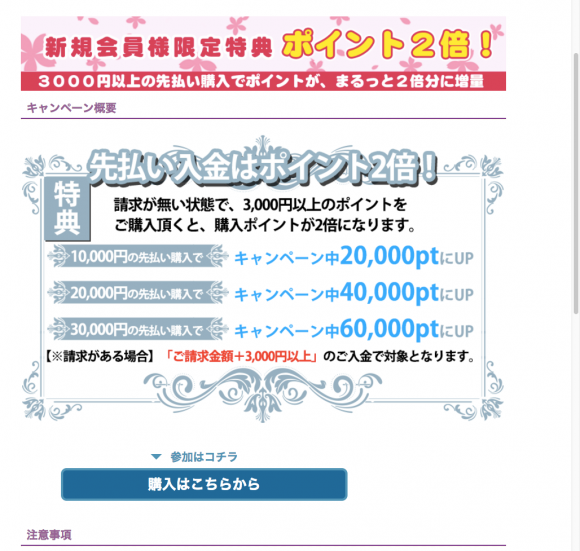 電話占いヴェルニキャンペーン内容