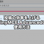 投稿の効率を上げるTinyMCE Advancedの使用方法