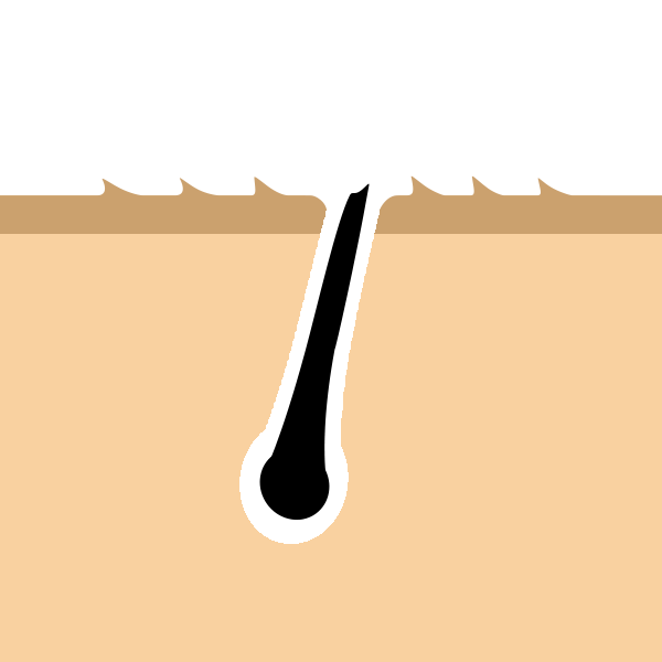 カミソリで剃毛
