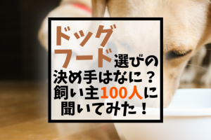 ドックフード選びの決め手はなに?飼い主100人に聞きました!